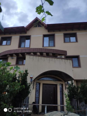 Apartament Ruxandra